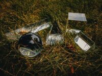 Glass Prism Photography: Ideas, Techniques & Examples