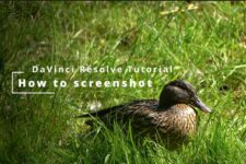 How to Screenshot in DaVinci Resolve