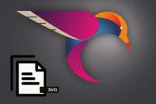 Everything You Need to Know