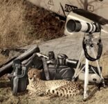 Inside My Camera Bag | Cheraine Collette