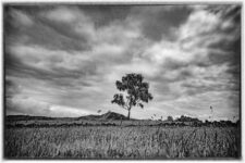 Nik Collection 7 Review – Powerful Plugins