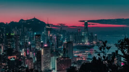 This Photographer Captures Night Creatures In Nocturnal Hong Kong