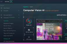 Which One Delivers Accurate Descriptions?