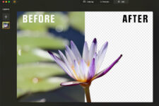 Testing Luminar Background Removal AI Tool