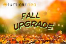 Everything You Need to Know