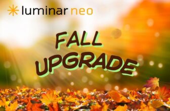 Everything You Need to Know