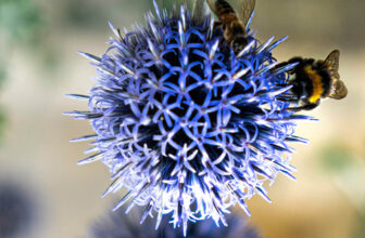 Enhanced AI Tools & Smarter Editing